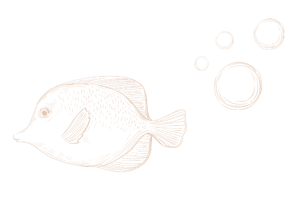 Peixe